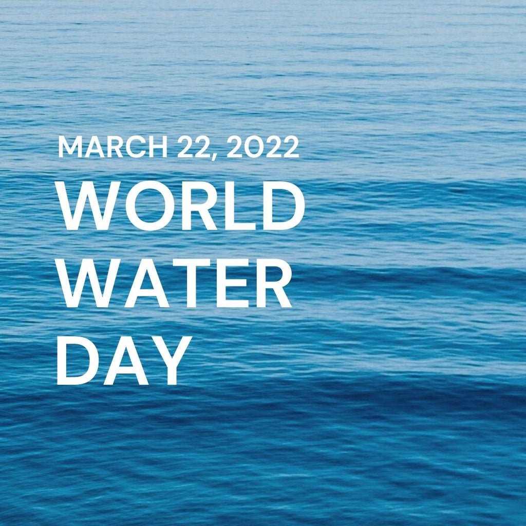 WORLD WATER DAY 2022
